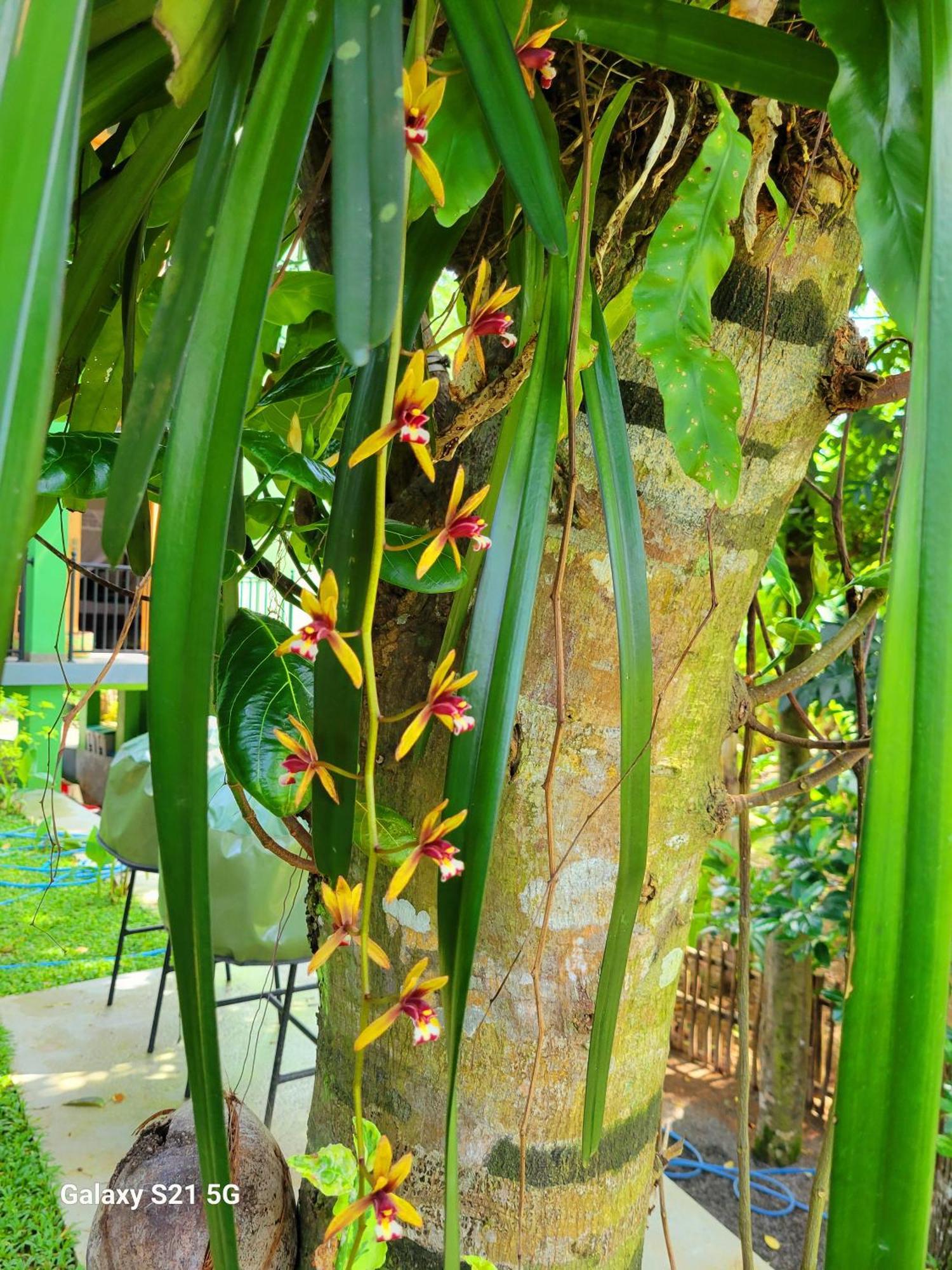 Barefoot Bungalow Hikka Hikkaduwa Exterior photo